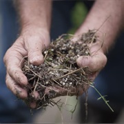 S2.E6: Point Comfort