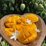 Mangos