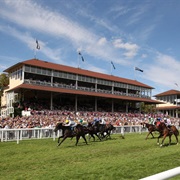 Die Galopprennbahn Baden- Baden