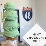 Mint Chocolate Chip With Chocolate Flakes