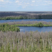 Nijegorodskoe Zavolje Biosphere Reserve, Russia