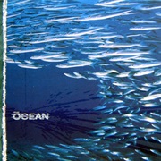 Fluxion - The Ocean (2004)