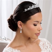 Tiara With Wedding Dress