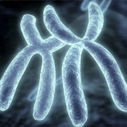 S4.E5: Will Sex Become Extinct?