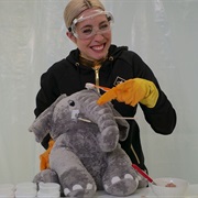 S19.E8: Science All Your Life