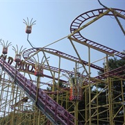 Wild Mouse (Funtown Splashtown USA)