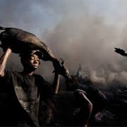 Curse of the Black Gold (Ed Kashi)