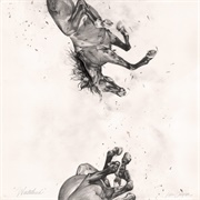 Wasteland (Hippo Campus, 2023)