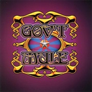 Gov't Mule - Live...With a Little Help From Our Friends