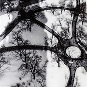 The Octopus (Alvin Langley Coburn)