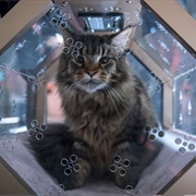 S4.E6: Stormy Weather