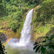 Los Tuxtlas Biosphere Reserve, Veracruz, Mexico
