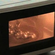 Microwaved Tinfoil