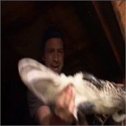 Dirty Jobs: "Alligator Farmer" (S2,E5)