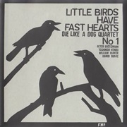 Die Like a Dog Quartet - Little Birds Have Fast Hearts No. 1