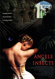 Angels & Insects - Paul Brown (1996)