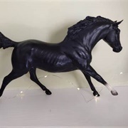 Black Beauty