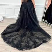 Beaded Lace Train on Dress