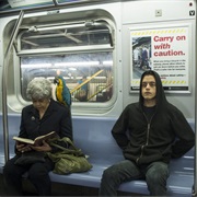 S1.E8: EPs1.7_Wh1ter0se.M4v