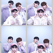 Not Spring, Love or Cherry Blossoms Love 101