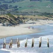 Saint Kilda, Dunedin