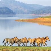 Langbiang Biosphere Reserve, Vietnam