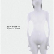 David Usher - If God Had Curves