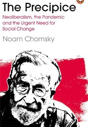 The Precipice (Noam Chomsky)