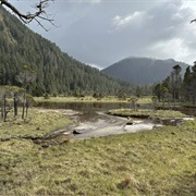 Sealion Cove State Marine Park