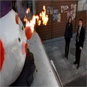 Bones: "The Girl in the Gator" (S2,E13)