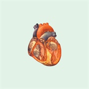 Severed Heads - Gigapus