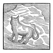 Valentina Magaletti & YPY - Kansai Bruises