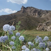 Karatau Nature Reserve, Kazakhstan