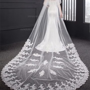 Decoration Only on Bottom Half of Veil