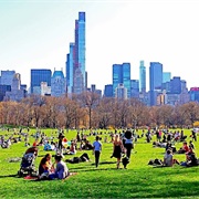 The Sheep Meadow in Central Park
