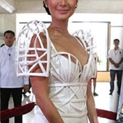 Cage Bodice and Sleeves