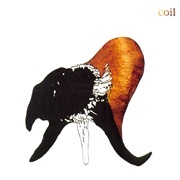 Black Antlers - Coil