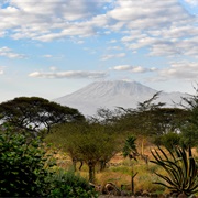 Kilimanjaro, Amboseli Park Kenya