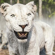 Akua (Mufasa: The Lion King)