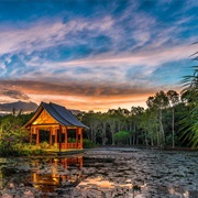 Flecker Botanic Gardens, Cairns