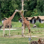 Serengeti Park in Hodenhagen
