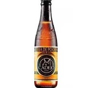 El Cadejo Beer