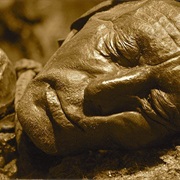 Learn About Bog Bodies