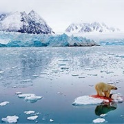 Polar Panorama (Pål Hermansen)