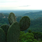La Sepultura Biosphere Reserve, Chiapas, Mexico