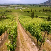 Central Valley, Chile