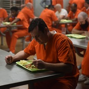 S4.E8: The Redesign of Natural Objects