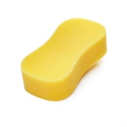 Sponge