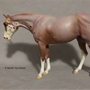 Standing Quarter Horse Mare