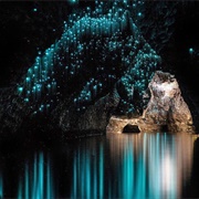 Waitomo Caves